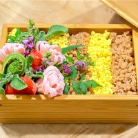 そぼろ弁当〜母の日〜|1480_kojiさん