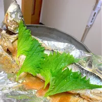 鰊の塩焼き|まみみさん