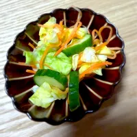 春キャベツときゅうりの漬物|藤田 まり子さん