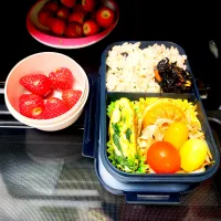 5月８日|maimaipapaさん