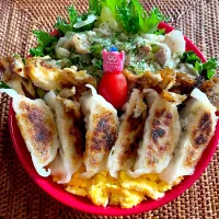 餃子弁当| ヘルペイさん