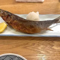 |たきさん