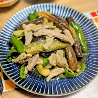 茄子とピーマンの生姜醤油炒め| じんさん