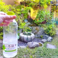 温泉のあとのお水最高に美味しい!|豆大福さん