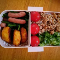 女子高生に捧ぐお弁当|めぐさん
