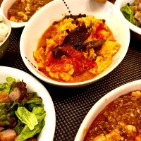 きくらげとトマトの卵炒め🍅　スパイシーポークサラダ🥗　麻婆豆腐😋|＊yurika＊さん