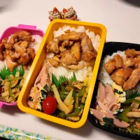 私、夫、娘弁当|みどりさん