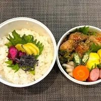 高校生息子のお弁当🍱 鶏肉と新玉ねぎのねぎソース炒め弁当🍱|Snow10さん