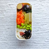 わたしのお弁当🎵　2026.5.11|mayumiさん