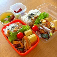 夫と娘のお弁当🍱🍙| シズソラさん