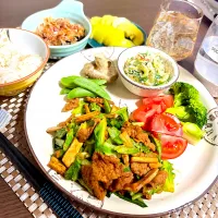 5/11晩ご飯：だいずのお肉で回鍋肉|ななみんさん