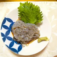 5/11の夕食　生しらす|卯月さん