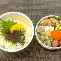 高校生息子のお弁当🍱 チキンのガランティーヌ弁当🍱|Snow10さん