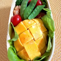 中1女子弁当　No.18