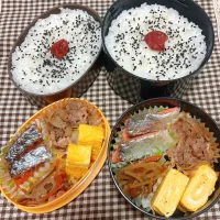 今日のお弁当 2026.5.12(Tue)|*seiko*さん