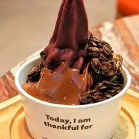 Acai Soft Serve w/ Nutella & Dark Chocolate Granola 🍫🍨🍫🤤|An'leeさん