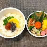 高校生息子のお弁当🍱 トンテキ弁当🍱| Snow10さん