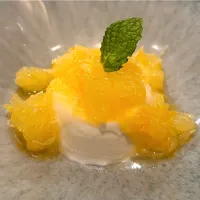 ⑥5月12日・［イタリアンのコース🍝😋✨］・安政柑とヨーグルトのパンナコッタ❣️|山勝さん