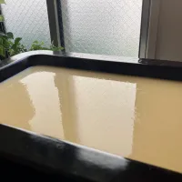 ＊我が家の大きなプリン🍮＊|＊抹茶＊さん