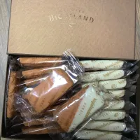 🍪🏝️|🍁さん