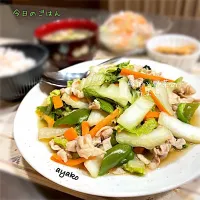 豚肉と野菜のうま煮|亜矢子さん