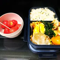 5月11日| maimaipapaさん