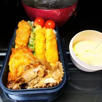 5月13日|maimaipapaさん