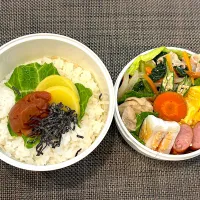 高校生息子のお弁当🍱 豚肉と野菜のクリーム煮弁当🍱|Snow10さん