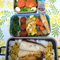 🍀2026/0514(木)塩サバ弁当|ともちんさん