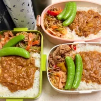 今日のお仕事弁当♪2026.5.14|ぐぅさん
