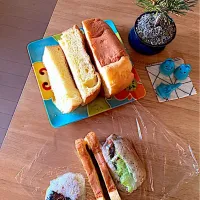 出張用のお弁当🍙| さくたえさん