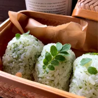 木の芽塩でおにぎり🍙
