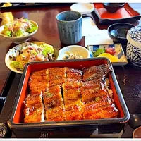 青鰻の鰻重いただきました♪|ワイントンさん