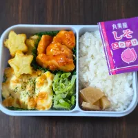 鶏胸肉のスイチリ炒め弁当| ぱんだのままんさん