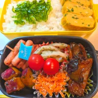 5/15 豚肉とナスの味噌炒め弁当|ぽちゃこさん