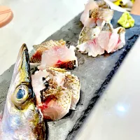 カマス刺|ぎんさん