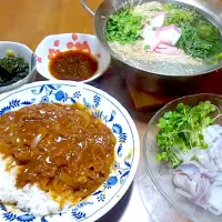10年前の5月16日の晩酌&晩ご飯　ハヤシライス　冷蔵庫整理の湯豆腐　海そうめん　活き剣先イカの刺身|🐈⸒⸒⸒⸒つるのダンス🐈🐾さん