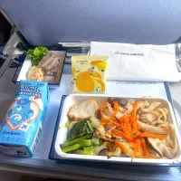 CI934 Airmeal|skyblueさん