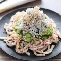 🆔524252                                                          #さっぱりゆかりしらすうどん 💕|ともきーた (伊藤 智子)さん