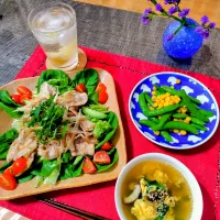 「香味野菜香る 焼しゃぶビネガープレート 〜晩白柚ソーダを添えて〜」|シュビラさん
