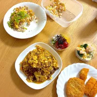 親子煮、小海老とブロッコリーのサラダ、ばくだん和え、コロッケ、ロースかつ、二色丼、鮭の混ぜご飯。|くろーぶやんさん