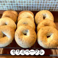 セサミベーグル🥯|きみちさん