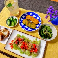 「初夏を食べる、発酵と彩りのデリプレート」|シュビラさん
