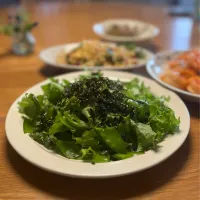 5/17の夕食　採れたてレタスとパクチーのサラダ|yoneさん