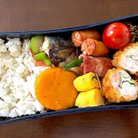 単身赴任弁当247|単身赴任のっちさん