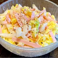 ハム&白菜のコールスロー| mottoさん