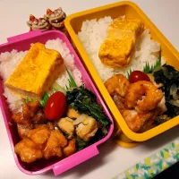 夫、私弁当|みどりさん