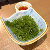 海ぶどう| T. Wonderさん