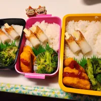 娘、私、夫弁当|みどりさん