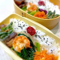 今日のお弁当34日目|もふもふへそ天さん